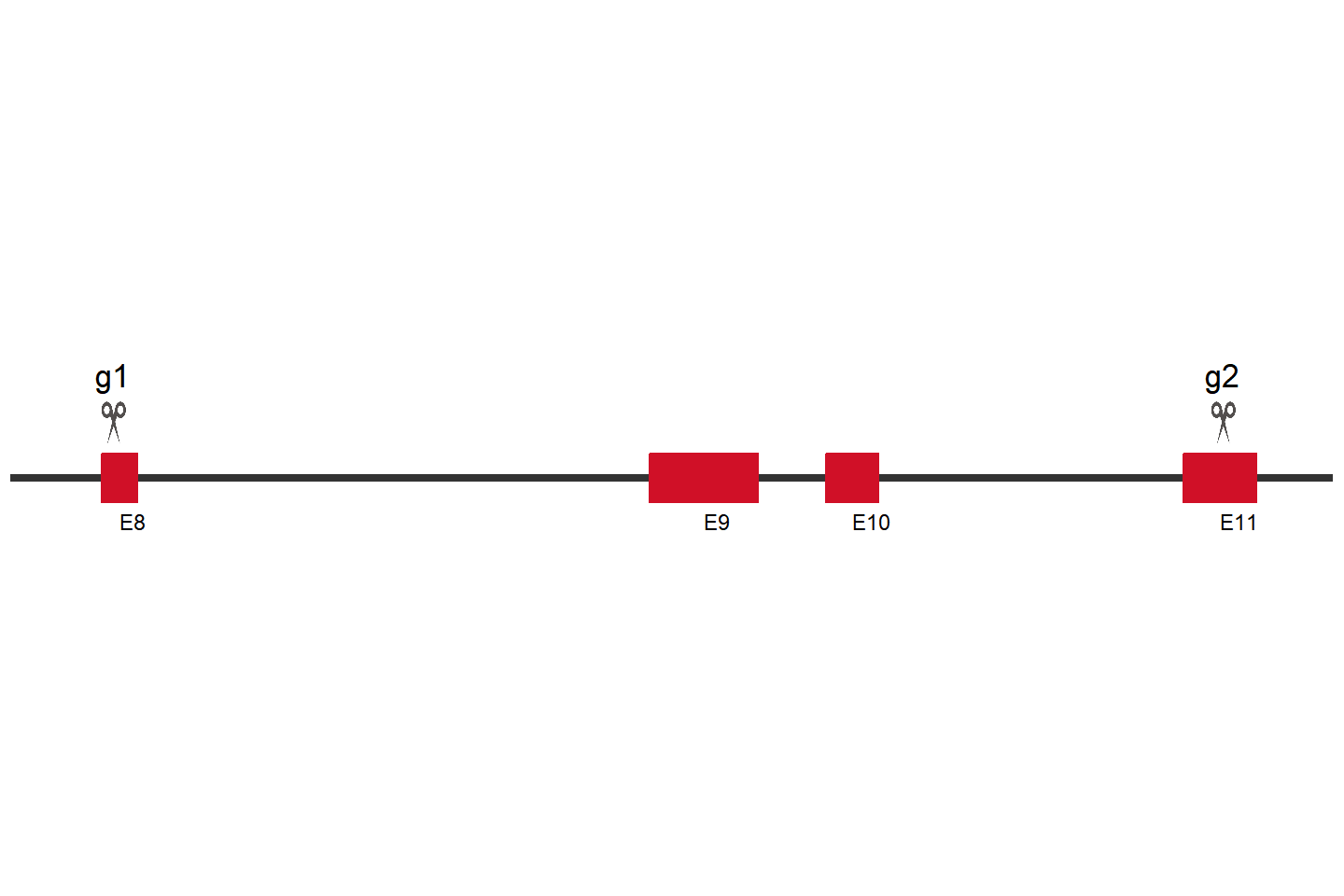 RABL6 Knockout cell line (MCF7) Target region