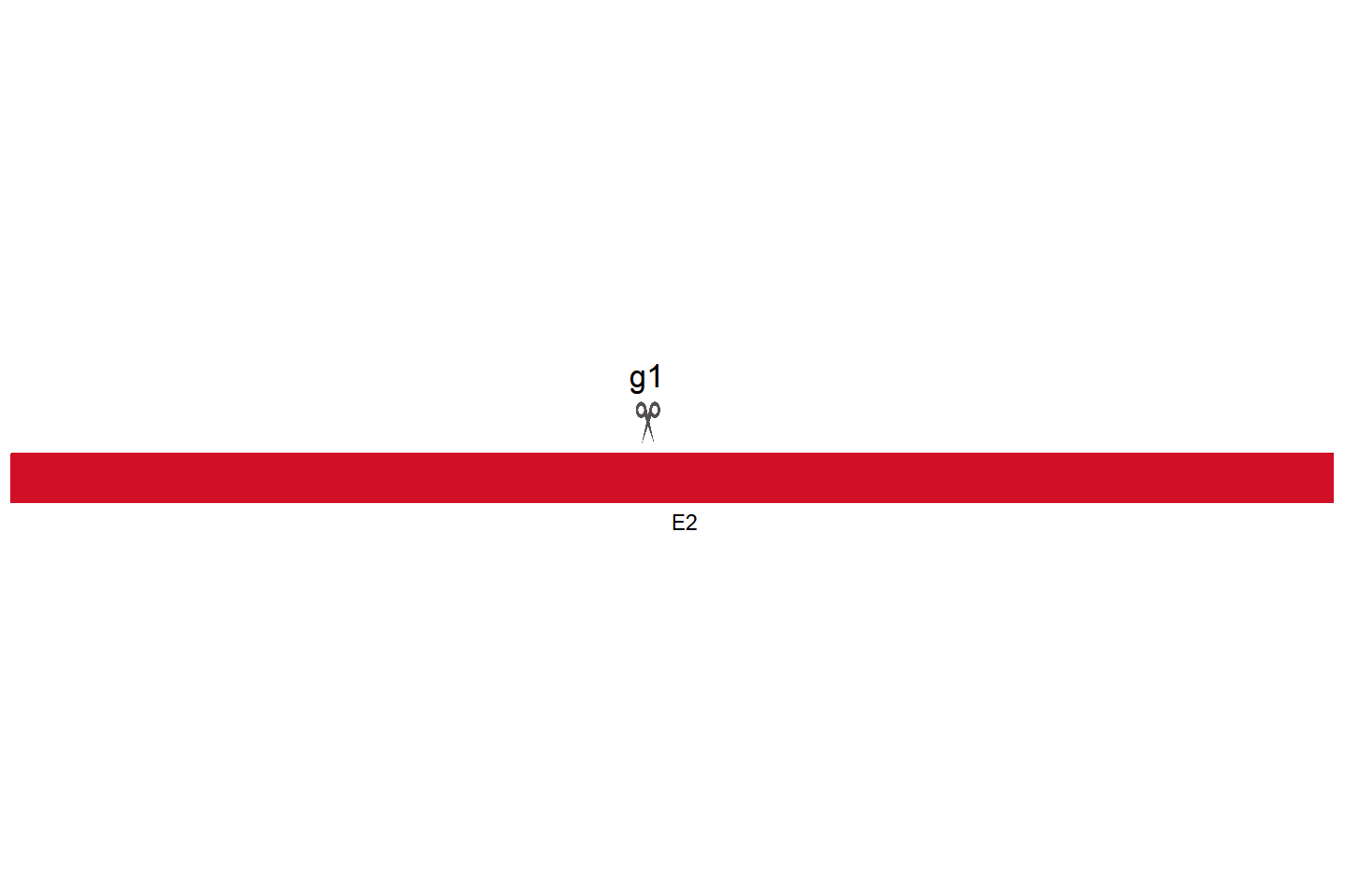 AOC1 Knockout cell line (NK-92) Target region