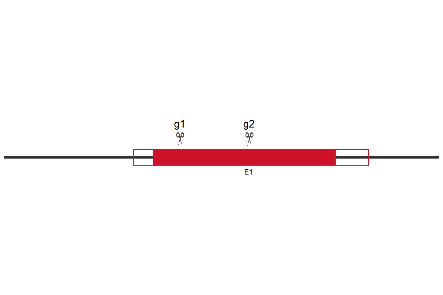 H4C6 Knockout cell line (PC-9) Target region