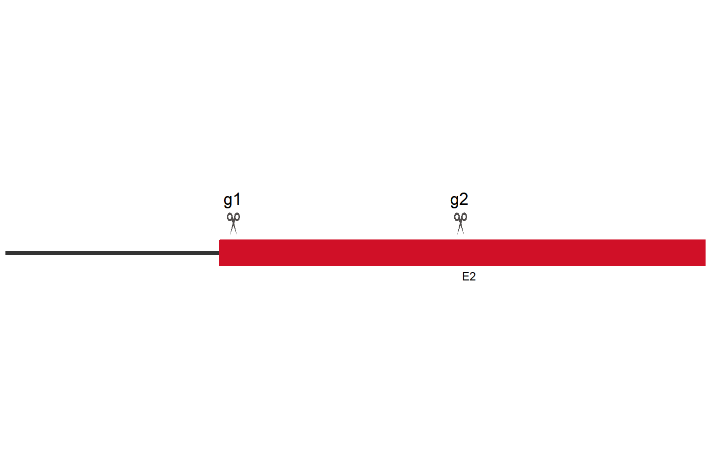 F2R Knockout cell line （Huh-7） Target region