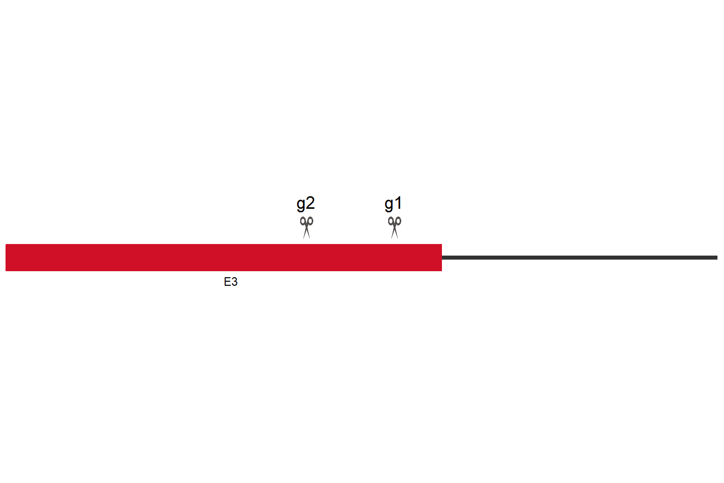 MON1A knockout cell line (A549) Target region