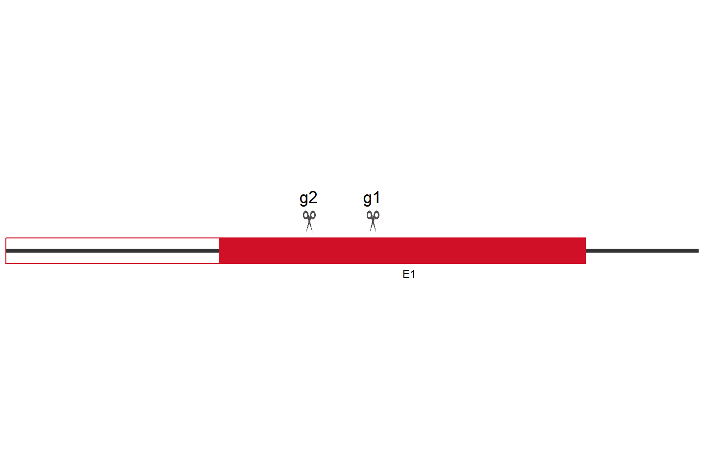 TRIM24 knockout cell line (A549) Target region