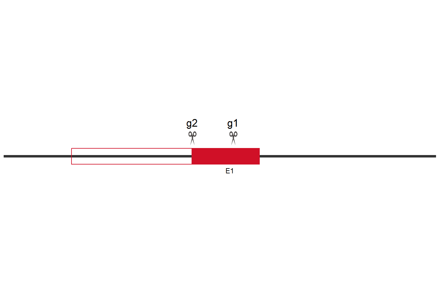 F2RL3 Knockout cell line  (HepG2) Target region