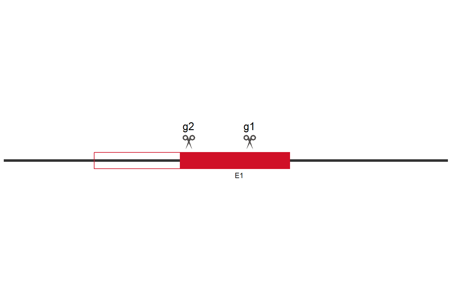 PTDSS1 Knockout cell line (HCT 116) Target region