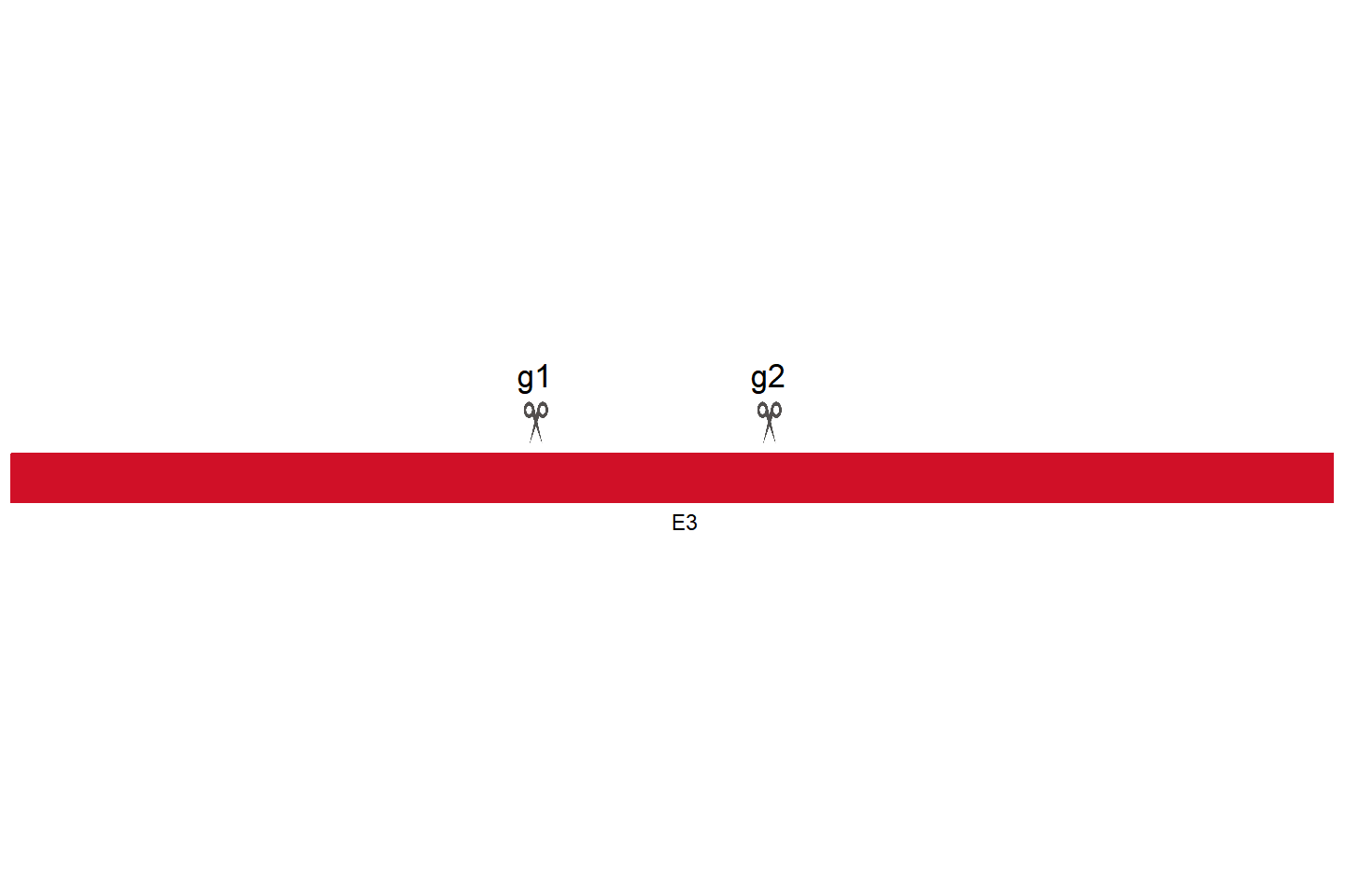 LRRC8A Knockout cell line (THP-1) Target region