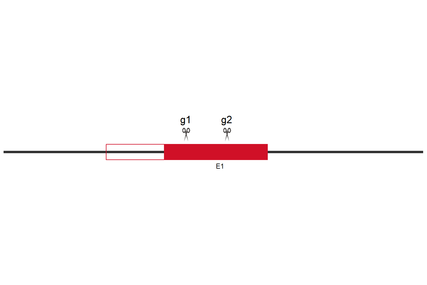 PRDX5 Knockout cell line (THP-1) Target region