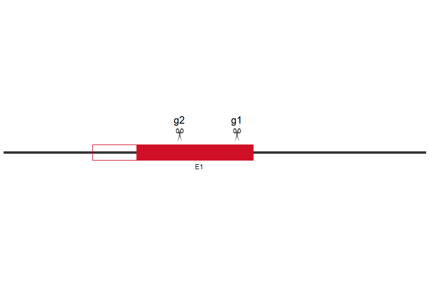 LZTR1 Knockout cell line (Hep G2) Target region