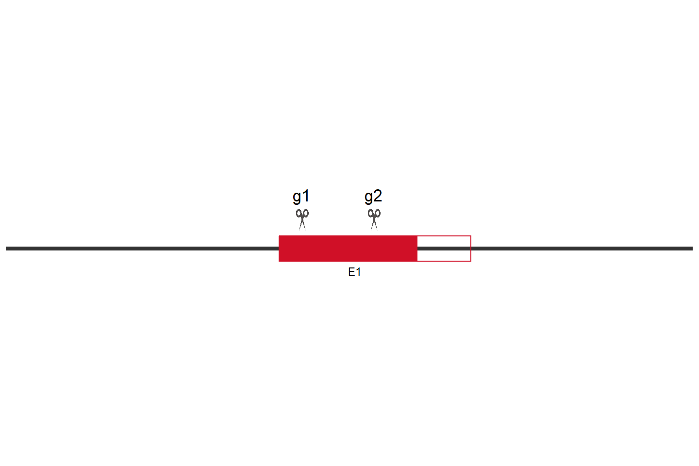 CLCN7 Knockout cell line (Hep G2) Target region