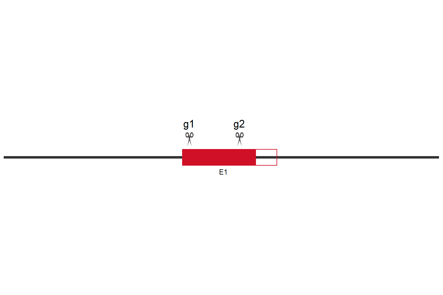 GLMP Knockout cell line (Hep G2) Target region