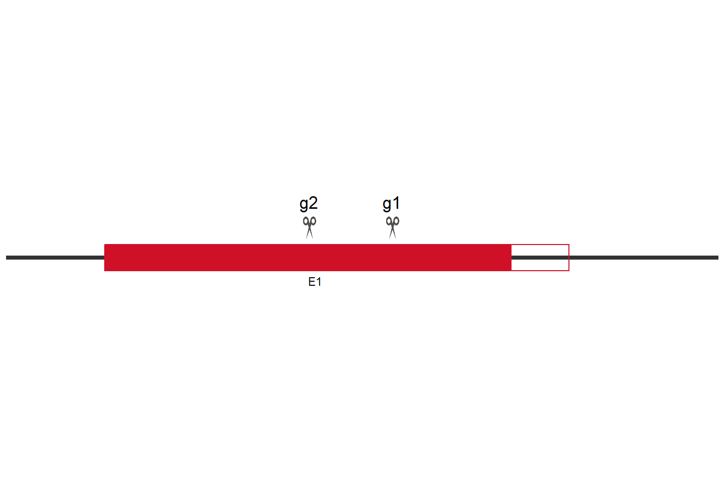 CLPB Knockout cell line (Hep G2) Target region