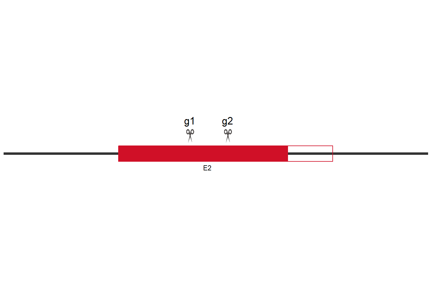 DOHH Knockout cell line (Hep G2) Target region