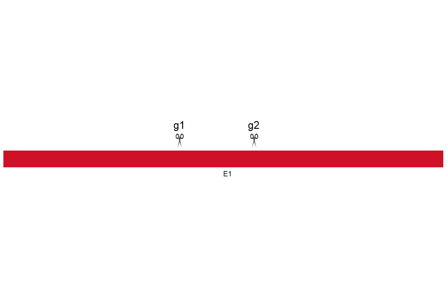 KDM4F Knockout cell line (Hep G2) Target region