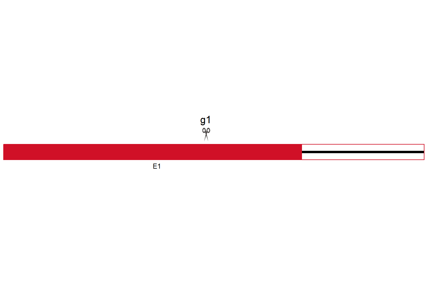 Keap1 Knockout cell line (LLC) Target region