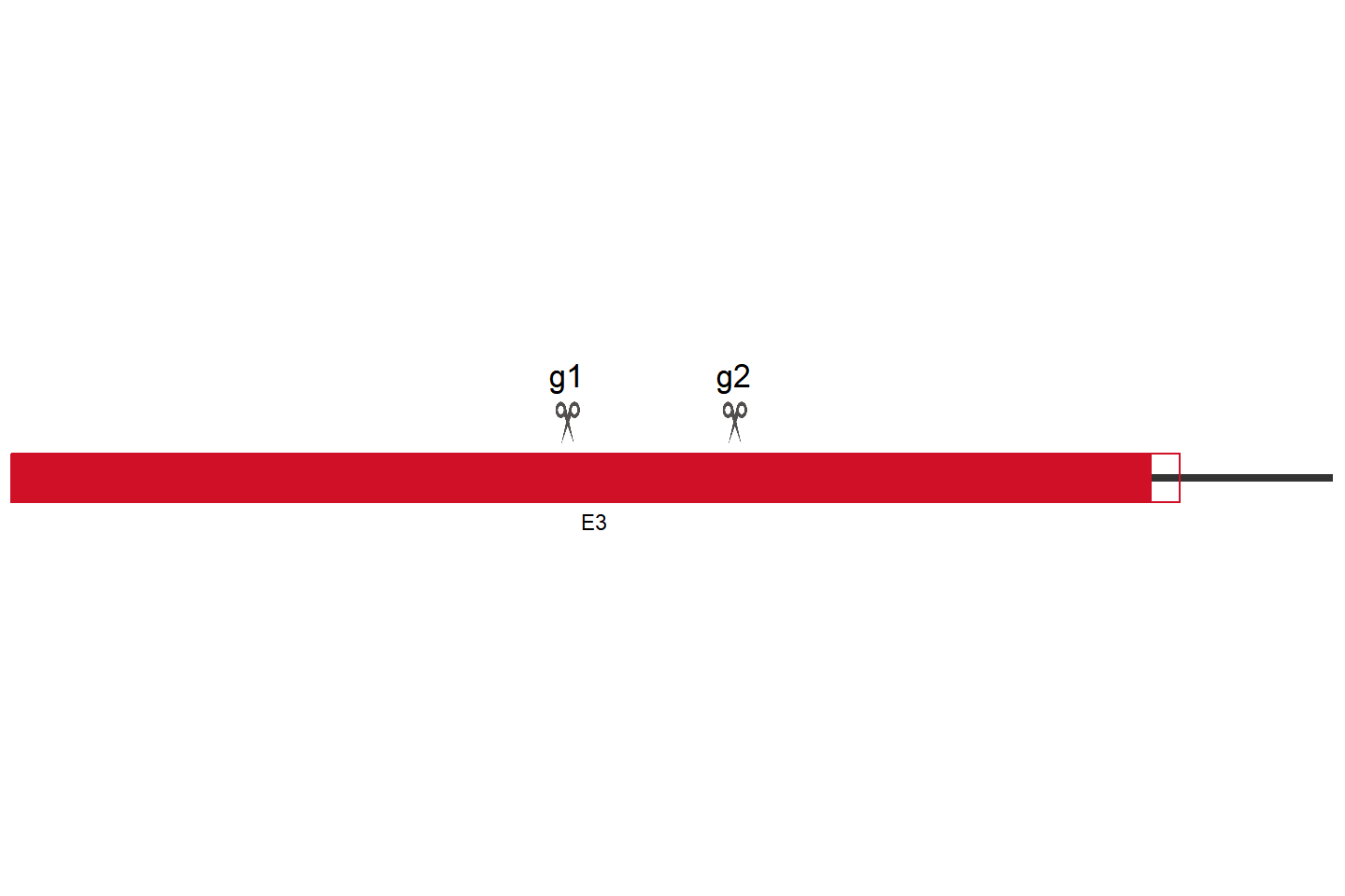 Tlr2 Knockout cell line (Raw 264.7) Target region