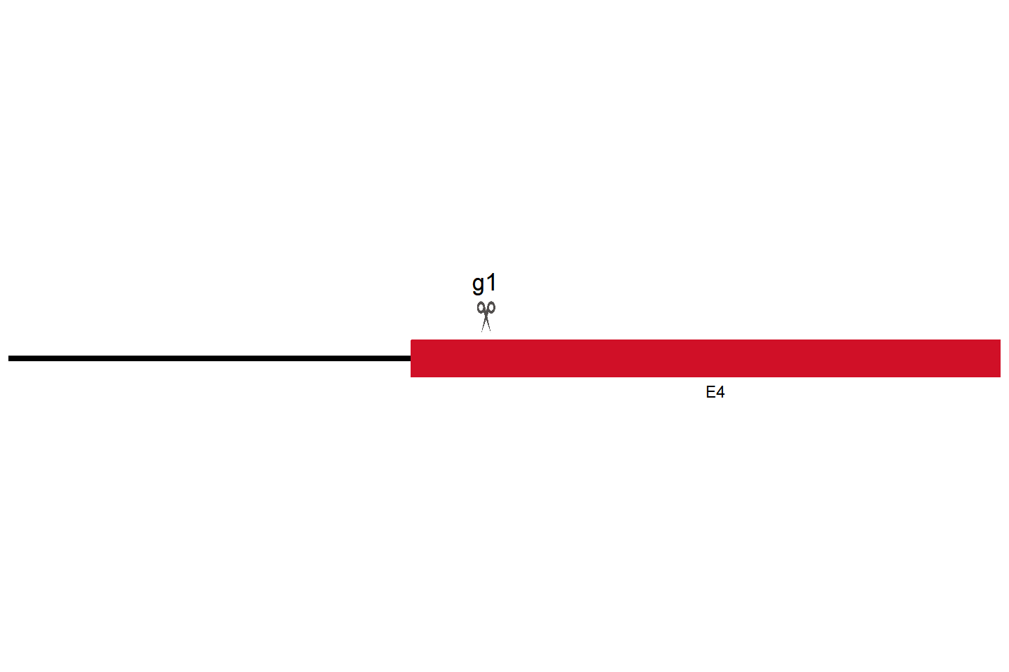 Tlr3 Knockout cell line (Raw 264.7) Target region