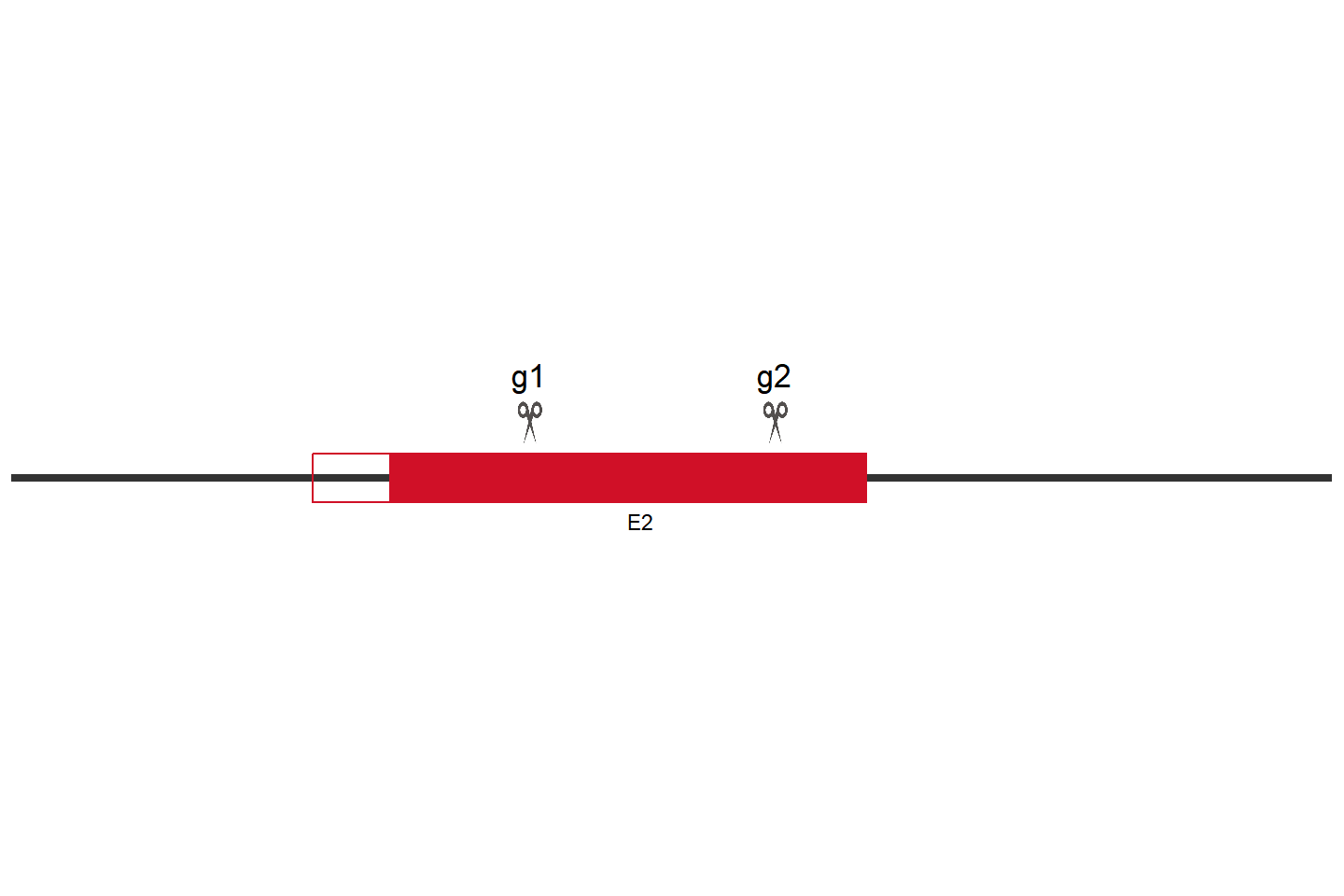 Nlrp3 Knockout cell line (Raw 264.7) Target region