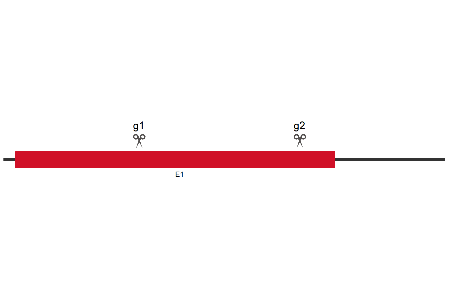 KRTAP4-16 Knockout cell line (HeLa) Target region