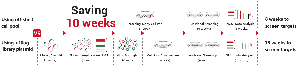 Screen targets in 8 weeks, saving 10 weeks