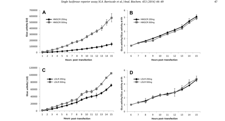 Luciferase activity/per hour after standardization.The data of secreted GLuc were standardized to the initial time point to correct the difference in plasmid transfection efficiency. HeLa cell line was transfected with 250 or 500 ng luciferase reporter for 6 to 9 hours. After removing the transfectant, the secretory luciferase activity was measured every hour. (A) The luciferase activity was measured after transfection with 250 or 500 ng pGluc-promHMGCR. (B) The luciferase activity of pGluc-promHMGCR was standardized for 6 hours. (C) The luciferase activity was measured after transfection with 250 or 500 ng pGluc-promLDLR. (D) The luciferase activity of pGluc-promLDLR was normalized to 6 hours.