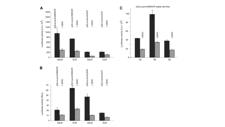 Comparison of SSLR analysis and DLR analysis. pGLuc-promHMGCR, pGL3-promHMGCR/pRL-TK, pGL3-promLDLR/pRLTK, or stable pGLuc-promHMGCR HeLa cell line were incubated under the condition of±25-OHC. For SSLR analysis samples, luciferase activity was measured 6 hours before 25-OHC treatment and 16 hours after 25-OHC treatment. (A) The promoter activity of HMGCR and LDLR of ±25-OHC was significantly lower than that of normal control. (B) The HMGCR and LDLR promoter activities of ±25-OHC were normalized to secrete luciferase at 6h and Renilla at DLR. (C) In stable pGLuc-promHMGCRHeLa cell lines A6, B2, and B3, the HMGCR promoter activity of ±25-OHC were detected.