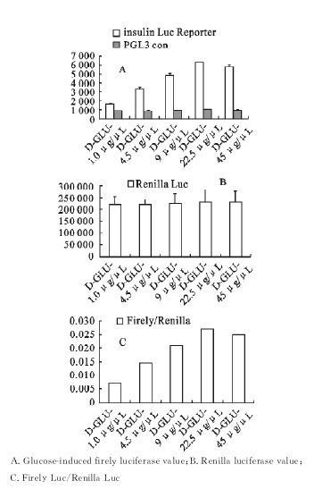  Effects of different concentrations of glucose on luciferase expression