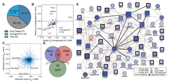 Screening gene interaction relationships using CRISPR library