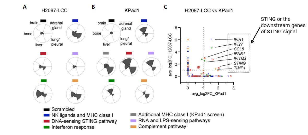 Screening targets by bioinformatics analysis