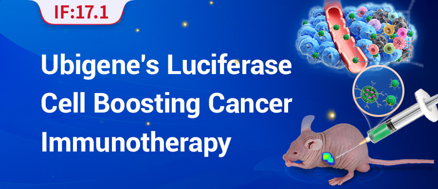 Luciferase Mouse: Boosting Cancer Immunotherapy