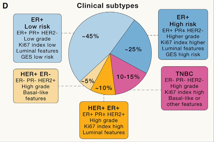 Subtypes of Breast Cancer and Their Distribution