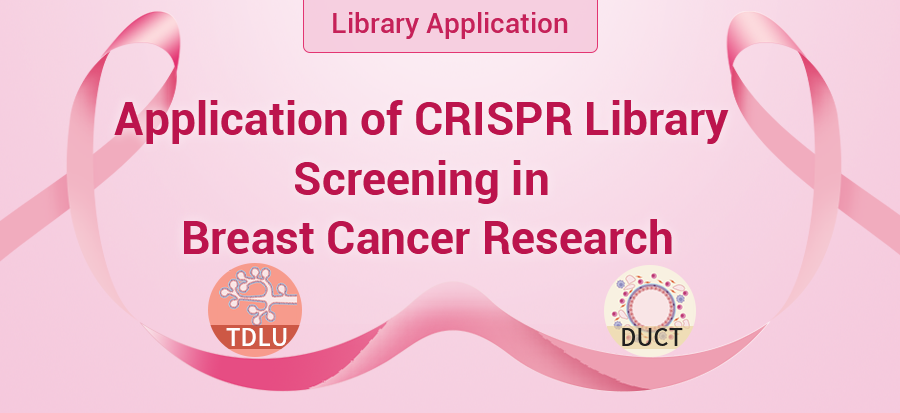 Application of CRISPR Library Screening in Breast Cancer Research