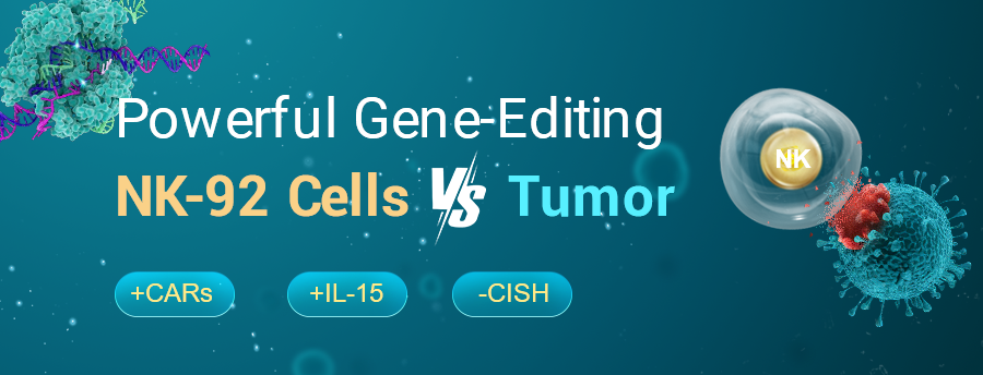 The Powerful Function Of The Gene-Editing NK-92 Cell Line