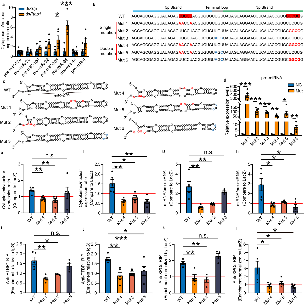 PTBP1-mediated nuclear export is dependent on the 