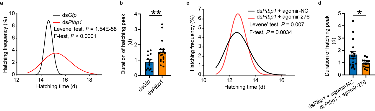 PTBP1–miR-276 regulates egg-hatching synchrony