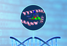 Ubigene KO Cells Help Reveal PCSK9 Protein Interactions And Regulation Of Lipid Metabolism