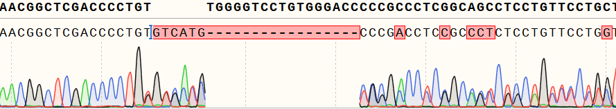 Genotype identification of the single-cell clone shows overlapping peaks