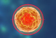 New Approach to Screening Viral Restriction Factors Using CRISPR Libraries!