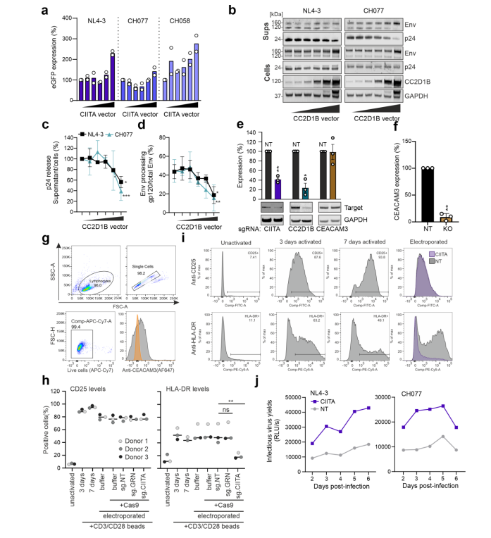 New Approach to Screening Viral Restriction Factors Using CRISPR ...