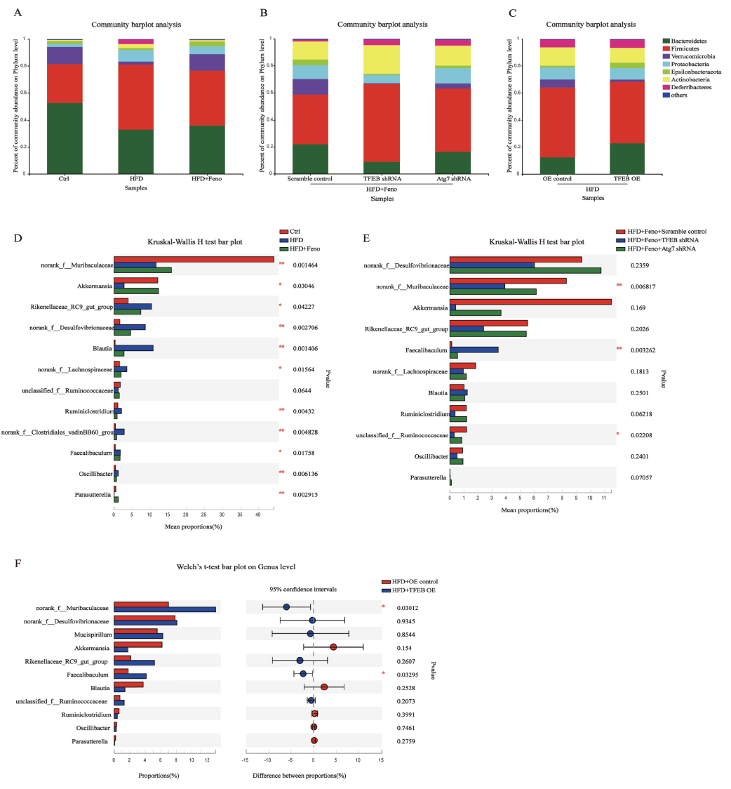 Fenofibrate influences microbial community composition through the TFEB-autophagy pathway