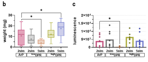 Tumor weight and luminescence intensity under different treatments