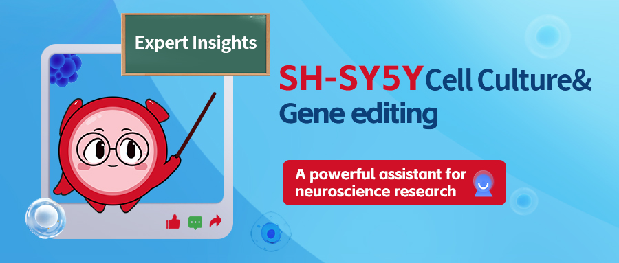 Expert Insights | Hurry up and collect the SH-SY5Y cell tips!