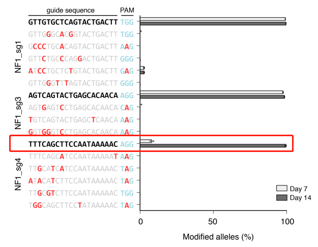  The editing efficiency of some sgRNAs in library cell pools is affected by the duration of cell culture