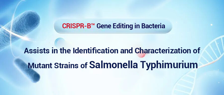 Ubigene's Contribution to the Identification and Characterization of Salmonella Typhimurium Mutants