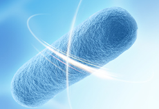 IF=14.4丨Ubigene's Contribution to the Identification and Characterization of Salmonella Typhimurium Mutants