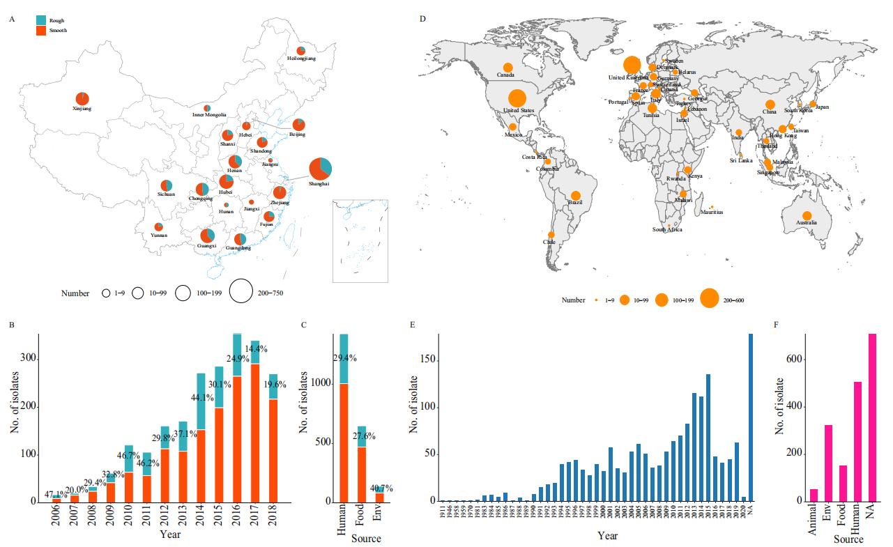 Distribution of Salmonella typhimurium isolates