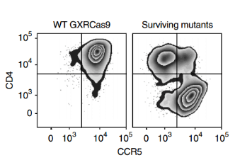 Flow cytometry analysis