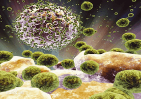 HIV virus