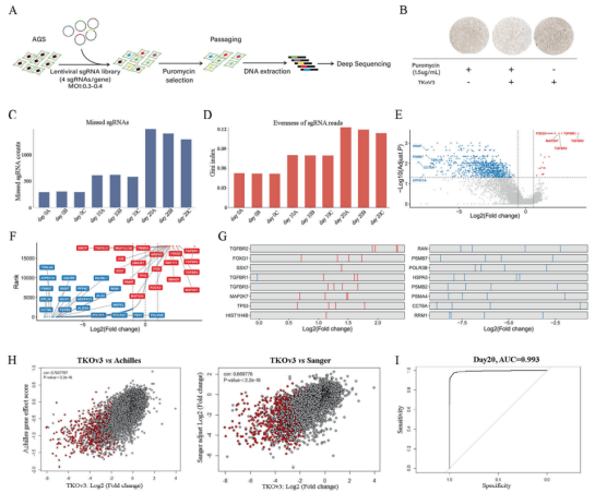  1. Negative screening of AGS whole genome using CRISPR library