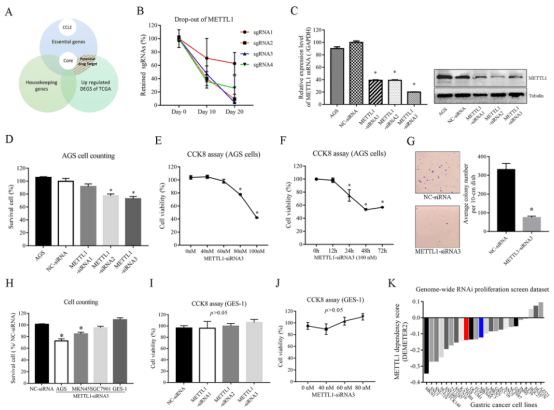 Screening of potential drug targets