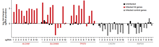 Single sgRNA enrichment of three candidate host dependent factors and two control genes