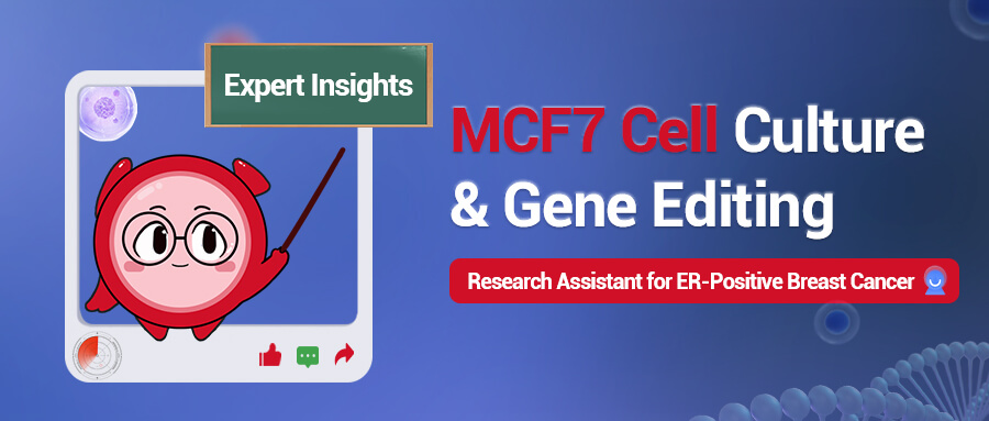 MCF7 Cell Culture and Gene Editing